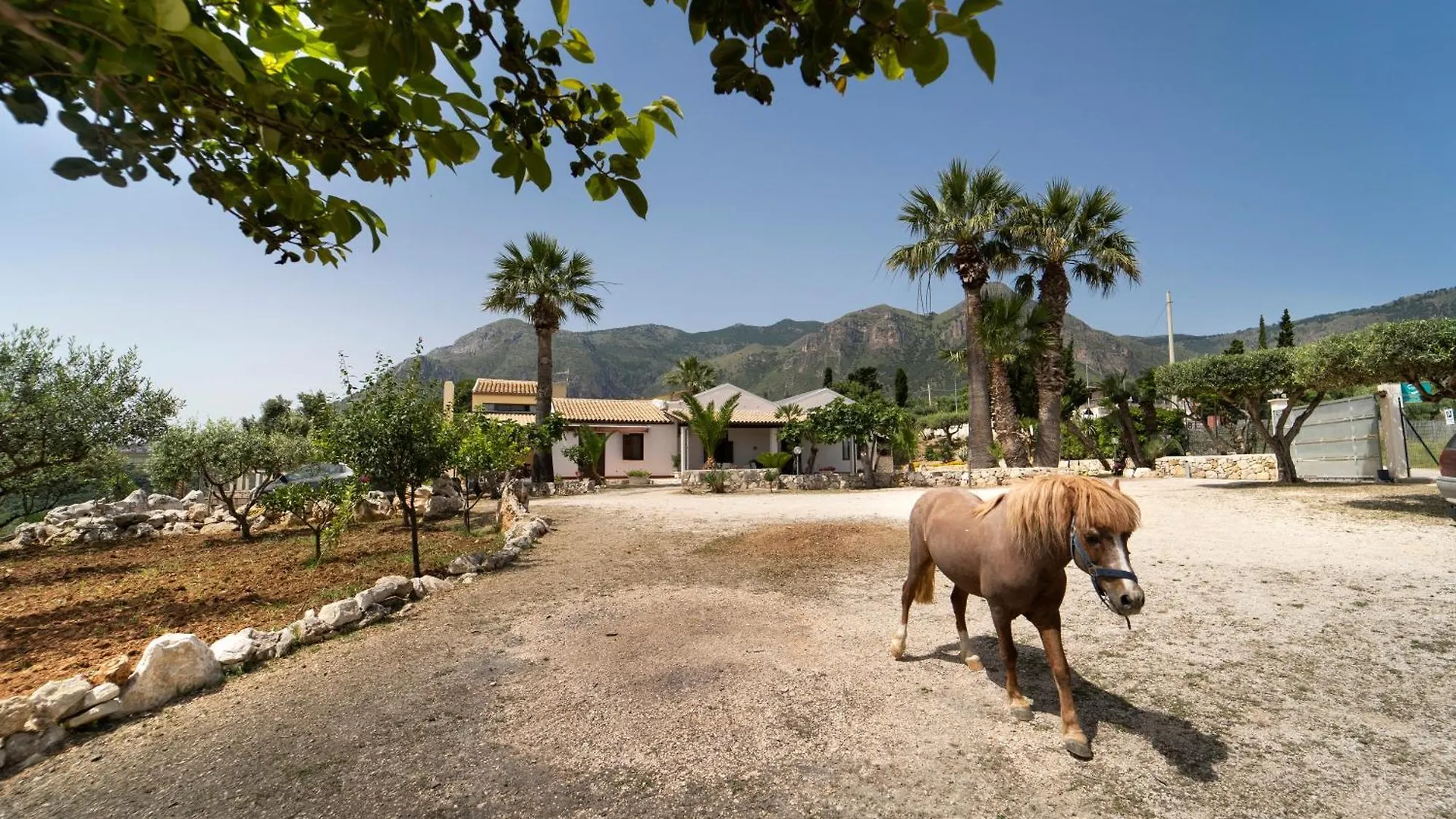 Kore Rooms Castellammare del Golfo Guest house